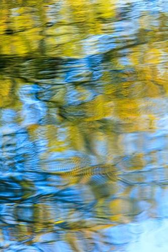 Abstract;Abstraction;Blue;Duck River;Gold;Henry Horton;Line;Mirror;Nature;Pattern;Reflection;Reflections;Ripple;River;Shape;Stream;Texture;Water;Yellow;botanicals;pool